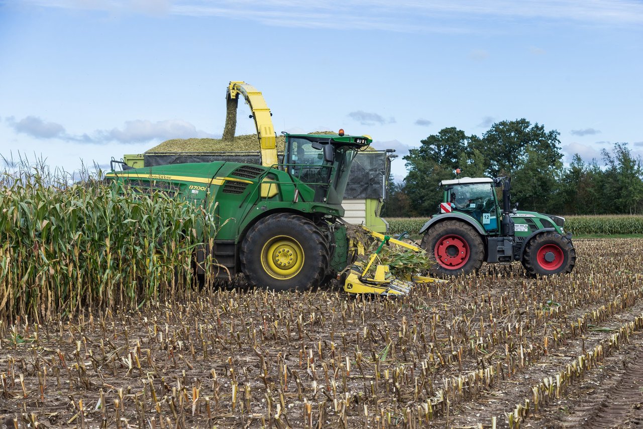 Bild 161 - Maisernte